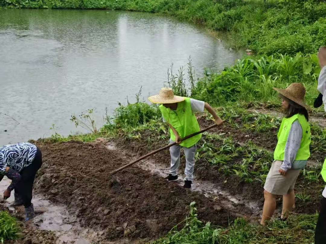 �齫����2(�й���)�ٷ���վ - IOS/��׿ͨ�ð�/�ֻ�APP����