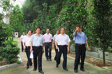 7838BF96FAA91350FF8F6C4A652_81DB2A9F_12DF4.jpg?e=