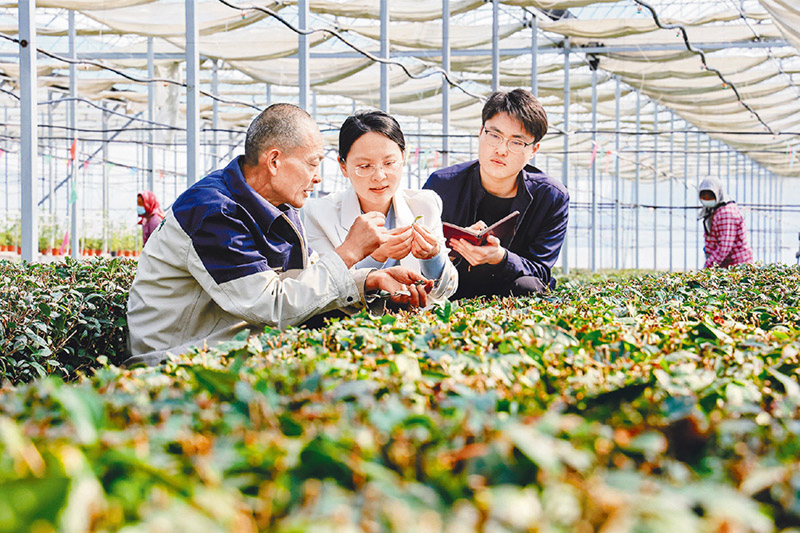 �齫����2(�й���)�ٷ���վ - IOS/��׿ͨ�ð�/�ֻ�APP����