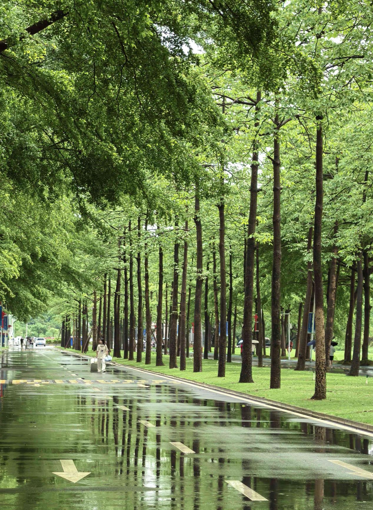 �齫����2(�й���)�ٷ���վ - IOS/��׿ͨ�ð�/�ֻ�APP����