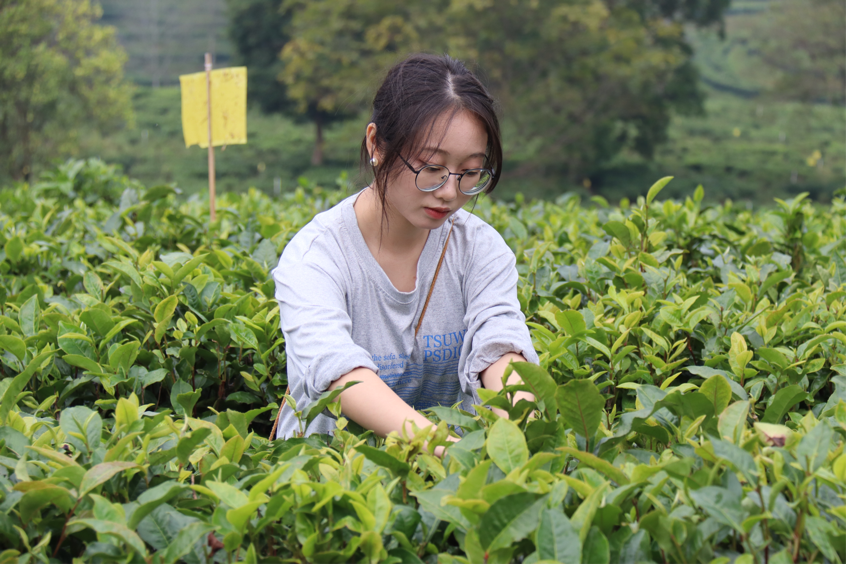 �齫����2(�й���)�ٷ���վ - IOS/��׿ͨ�ð�/�ֻ�APP����