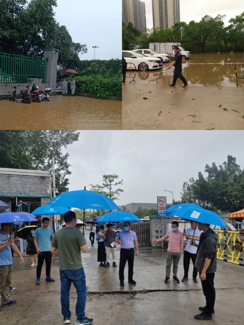 B4987802FC8ED460AE15264E75D_6B6B69BC_36C34.jpg?e=