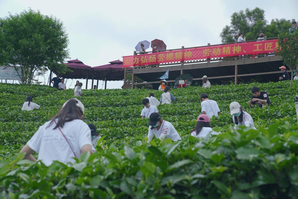 004287004228673B88986779BBC_E8AE2A00_1CD88.jpg?e=