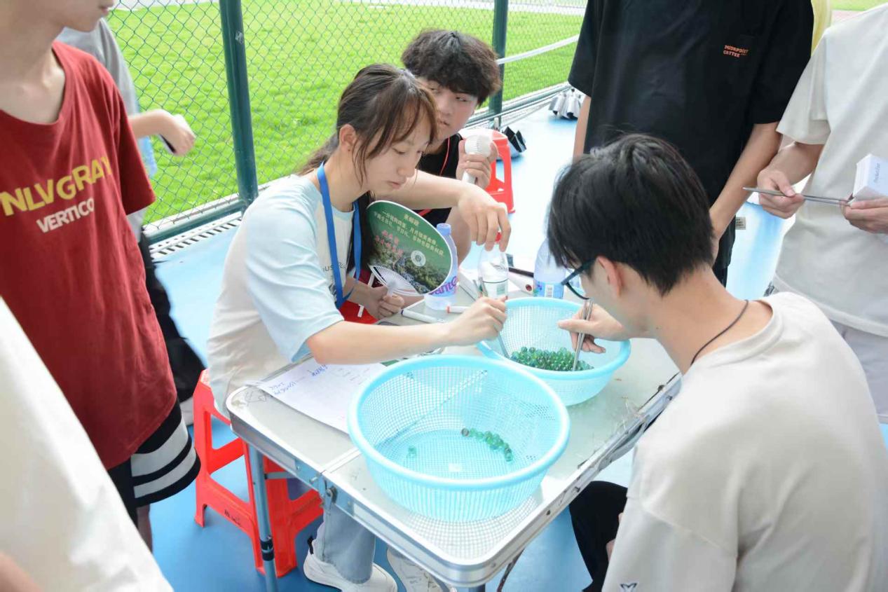 �齫����2(�й���)�ٷ���վ - IOS/��׿ͨ�ð�/�ֻ�APP����