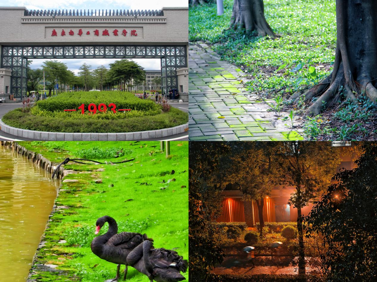 �齫����2(�й���)�ٷ���վ - IOS/��׿ͨ�ð�/�ֻ�APP����