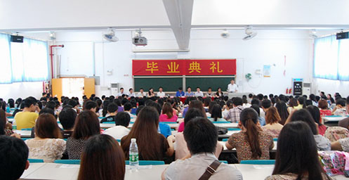 DD5F3CD06C8CC5E07FA13FD749E_852C9205_DCC6