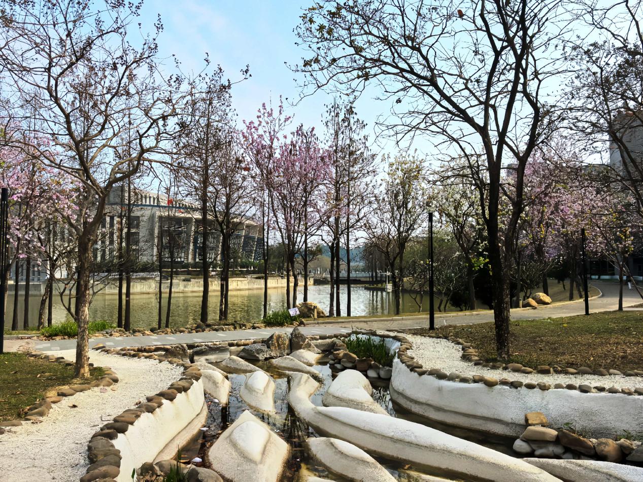 �齫����2(�й���)�ٷ���վ - IOS/��׿ͨ�ð�/�ֻ�APP����